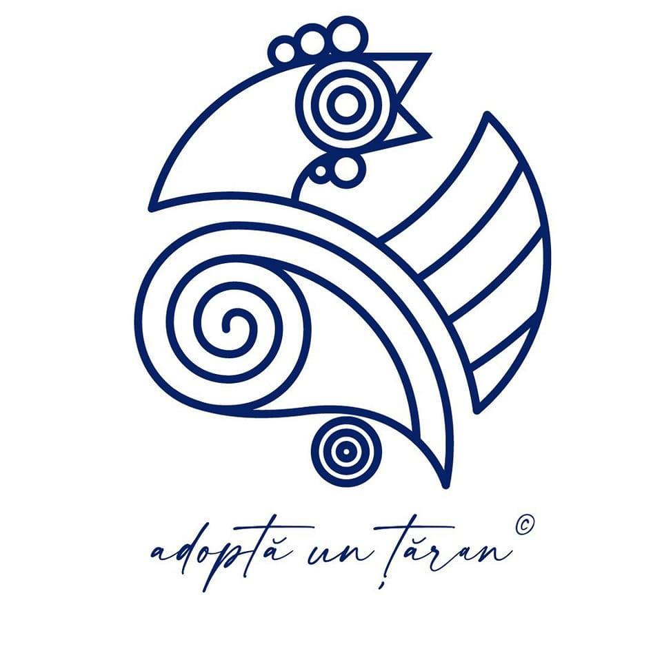 345339706_189785863515668_6767368353335101514_n